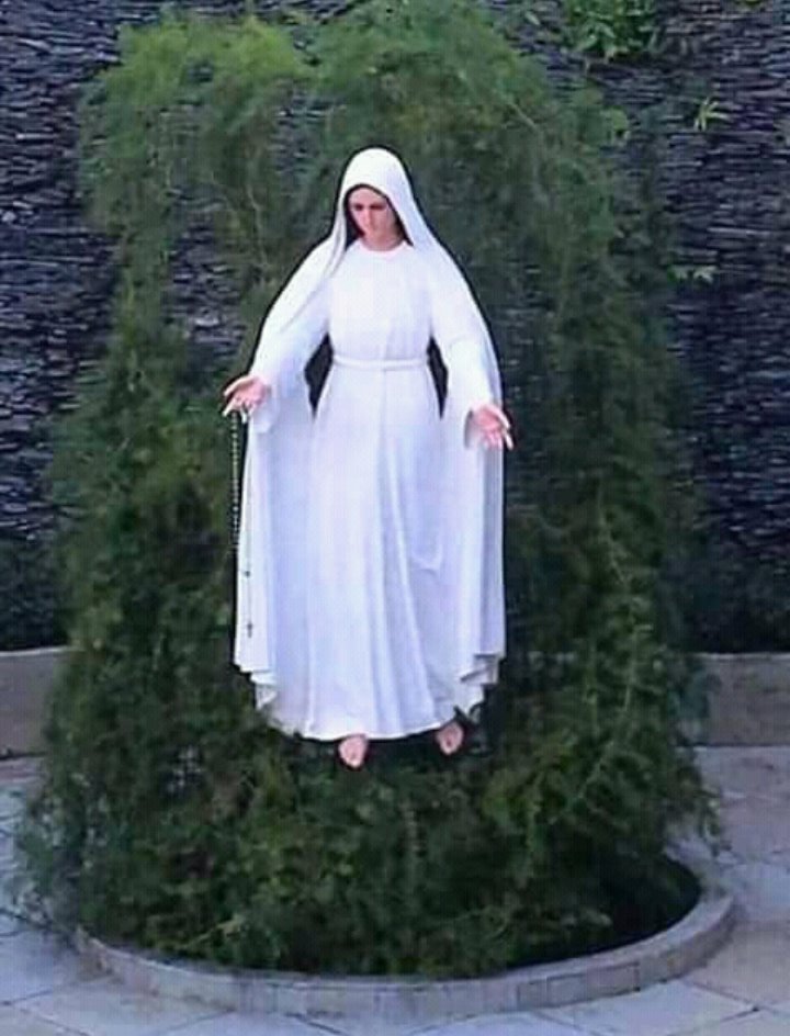 Harrison Onukwube tweet media