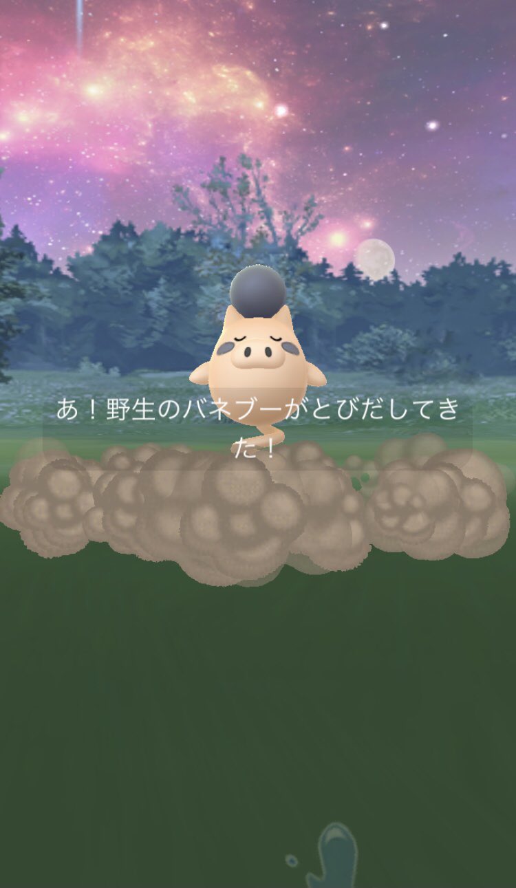 色違いバネブー Twitter Search Twitter