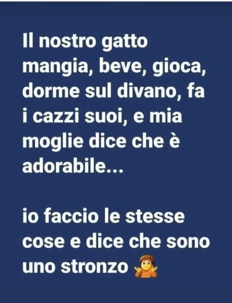 pier luigi pinna tweet media