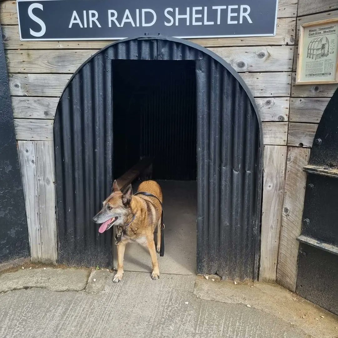 jaimegarner20's tweet photo. Thank you @RideOfHonour and @edencamp for their amazing fund raiser for @PawsHero none of this would be possible without you guys. Thank you for all your ongoing support and a fab day yesterday 🐾❤️ one step closer 🐾❤️🐾❤️🐾 https://t.co/SN29hl2ZAa