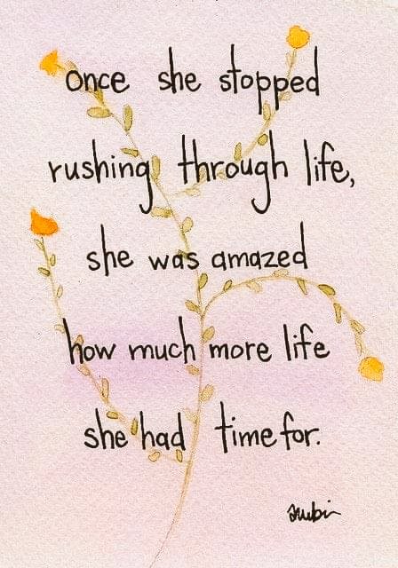 The Tea Chest Blog ☕⛵ tweet media