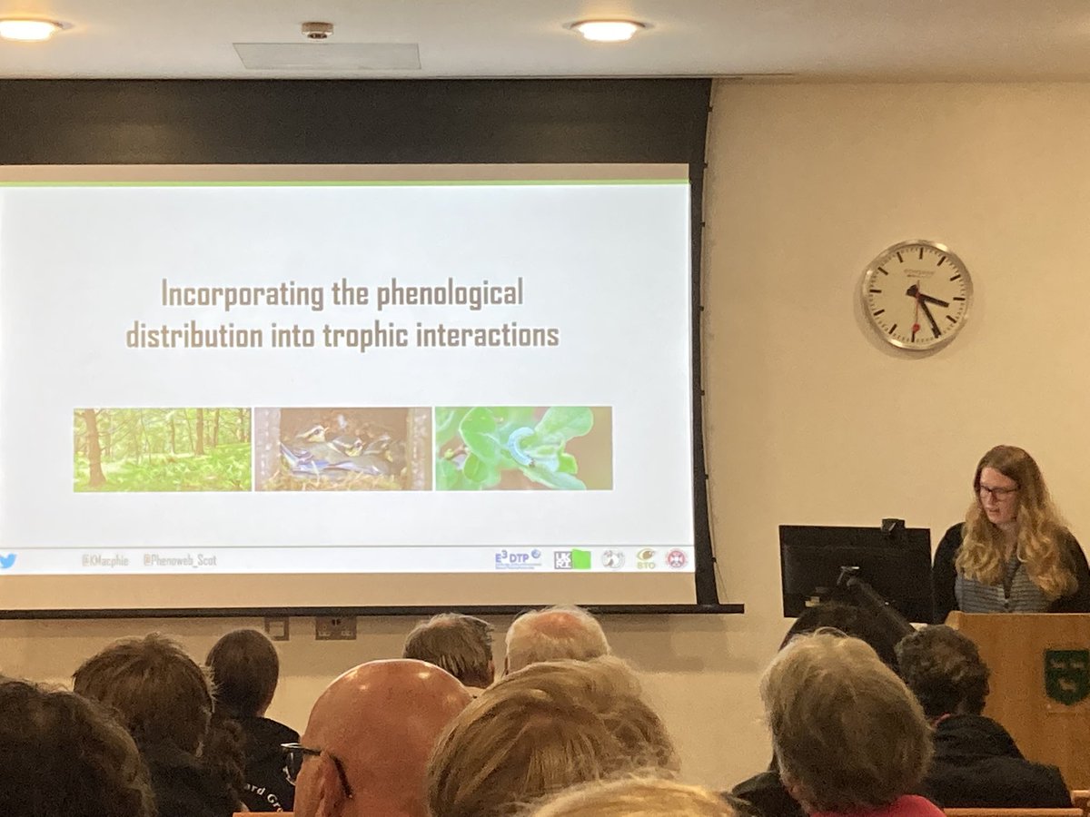 <a href="/KMacphie/">Kirsty Macphie</a> doesn’t find an effect of caterpillar timing on her Scottish blue tit breeding fitness, but timing of birds breeding does effect their fitness. #HNB2022