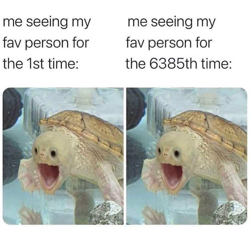 WholesomeMemes (@wholesomememe) on Twitter photo 