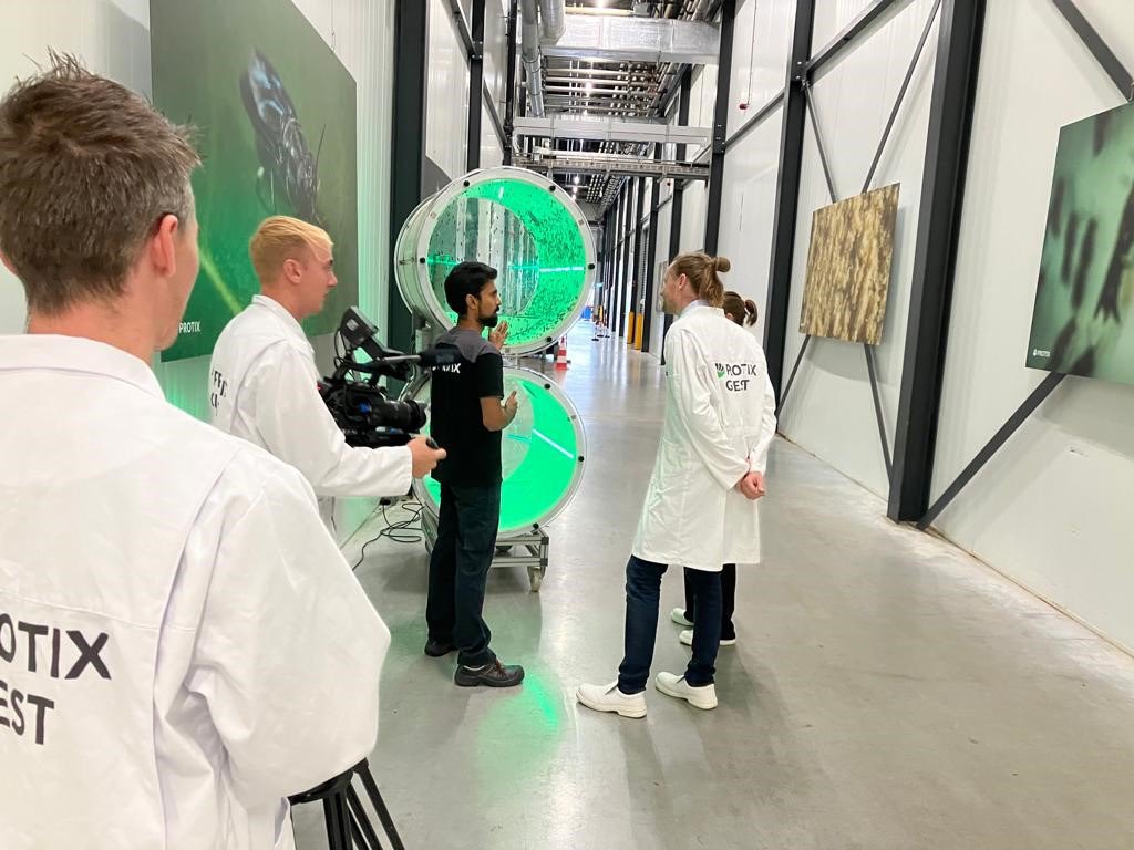 Een mooi voorbeeld van een 2e leven van rest- en bijstromen: de soldaatvliegen van Protix. Innovatie en samenwerking binnen het project Symbios4Growth  youtu.be/F7eQz139u9M
