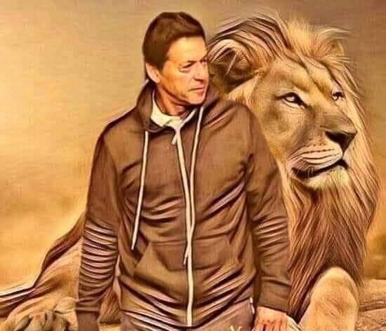 Mehar Shahbaz Ahmad tweet media