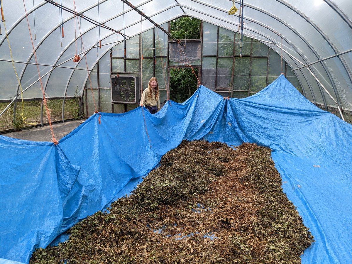 Jessica Linton tweet media