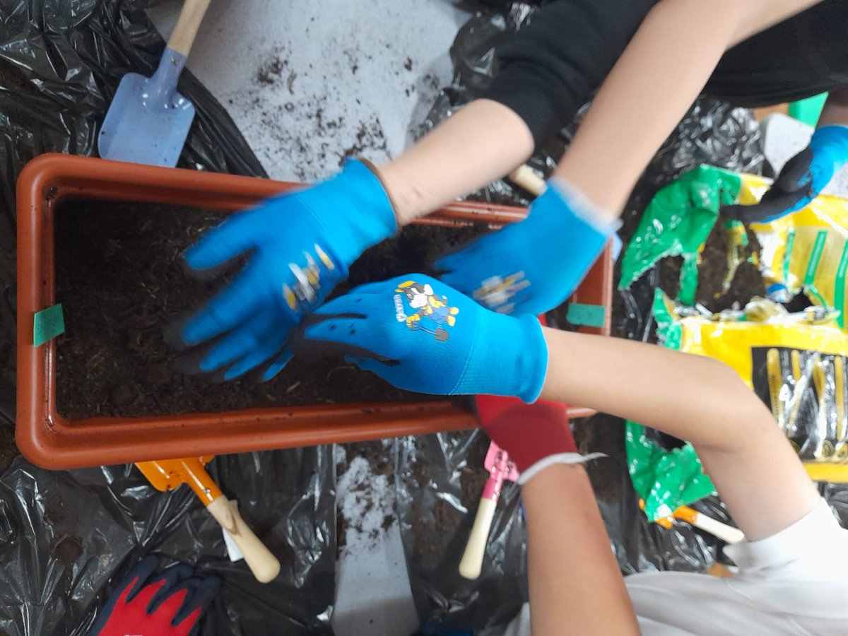 RaplochCorner's tweet photo. Our busy amazing #gardening group today @FallinPrimary ๐
Look at our budding gardeners (see what we did there?!)
#GetOutside #InspiringCommunities #GreenFingers ๐ชด ๐ฑ ๐ฟ ๐พ https://t.co/AwAWNgeWag