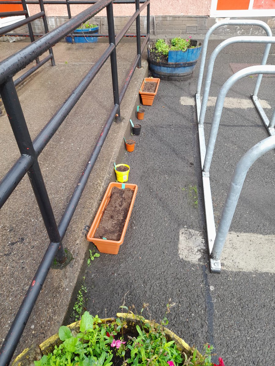 RaplochCorner's tweet photo. Our busy amazing #gardening group today @FallinPrimary ๐
Look at our budding gardeners (see what we did there?!)
#GetOutside #InspiringCommunities #GreenFingers ๐ชด ๐ฑ ๐ฟ ๐พ https://t.co/AwAWNgeWag