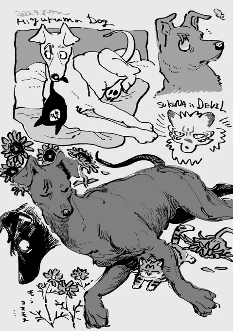 🌻犬らくがき 