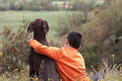 Las Federaciones velarán para que se cumpla el anuncio del <a href="/PSOE/">PSOE</a> de excluir la caza de la Ley Animalista ow.ly/hKRy50KErtT