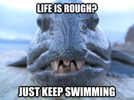 akankes_world's tweet photo. #earf #earth #schoolofhardknocks #justkeepswimming https://t.co/mTXXiTc5M5
