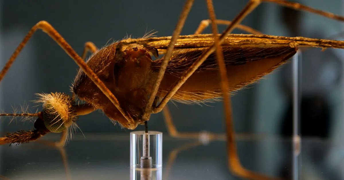 AnalySource: Premier Drug Pricing Services (@analysource) on Twitter photo Oxford malaria vaccine data bodes well for effort to combat deadly disease buff.ly/3qjudNc Oxford malaria vaccine data bodes well for effort to combat deadly disease buff.ly/3qjudNc