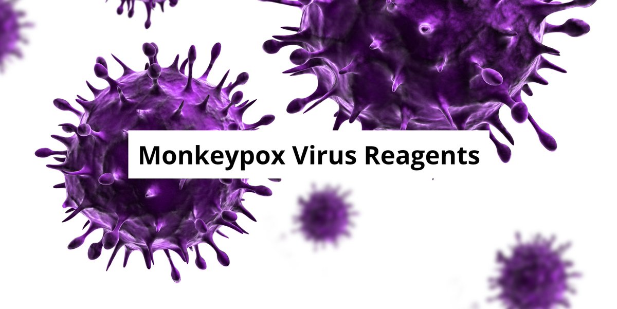ProSciInc's tweet photo. Interested in reagents to take your #monkeypox research to the next level? Take a dive into the catalog of monkeypox reagents from ProSci! https://t.co/3pyYHDLzGz

#monkeypoxresearch #biotech #antibodies #monkeypoxvirus https://t.co/YKwSzdOgjG