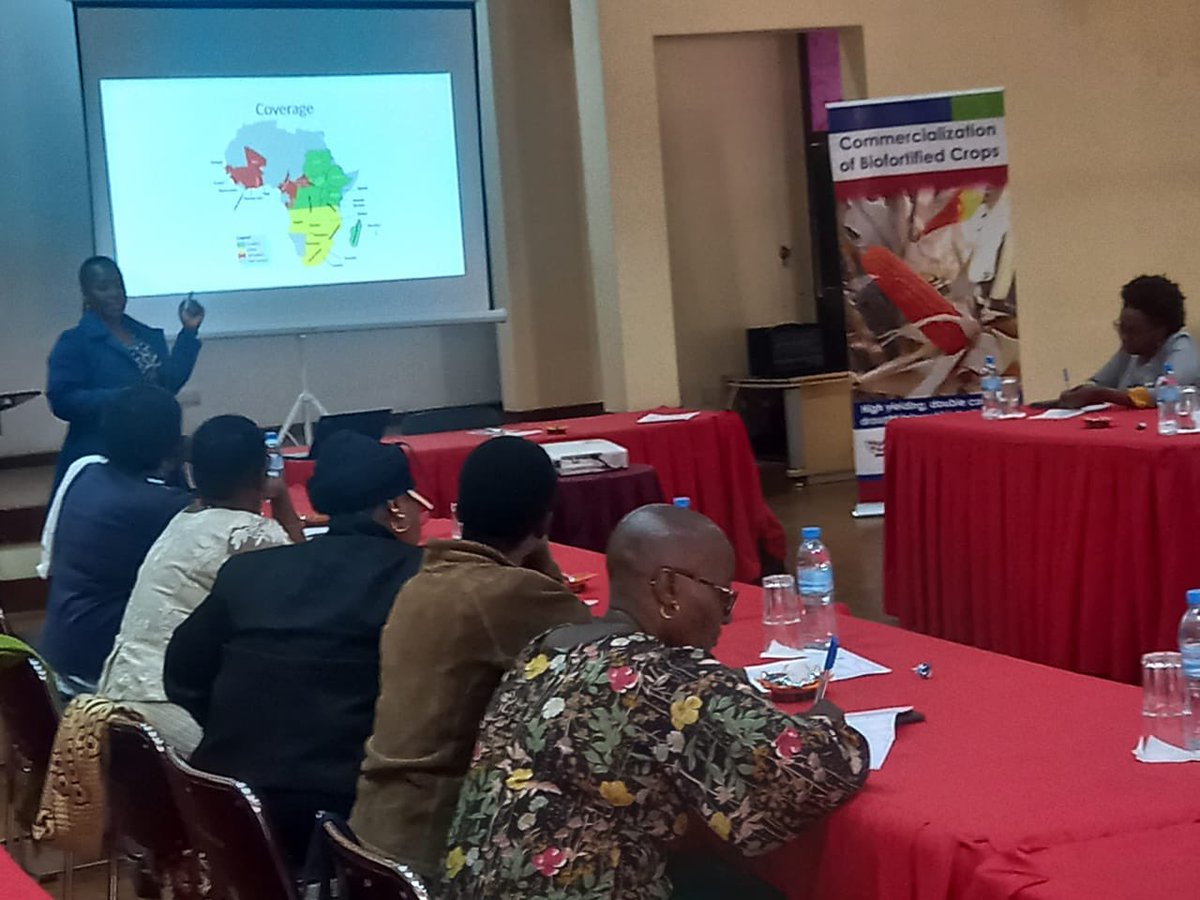 GAIN_TANZANIA's tweet photo. CBC team is in Arusha today training processors &amp; suppliers of Pro vitamin A maize products &amp; provide linkages to the farmers from Simanjiro and Hai. Additionally, financial institutions will train the SMES on various financial services opportunities available for them. https://t.co/hFLolwxrvE