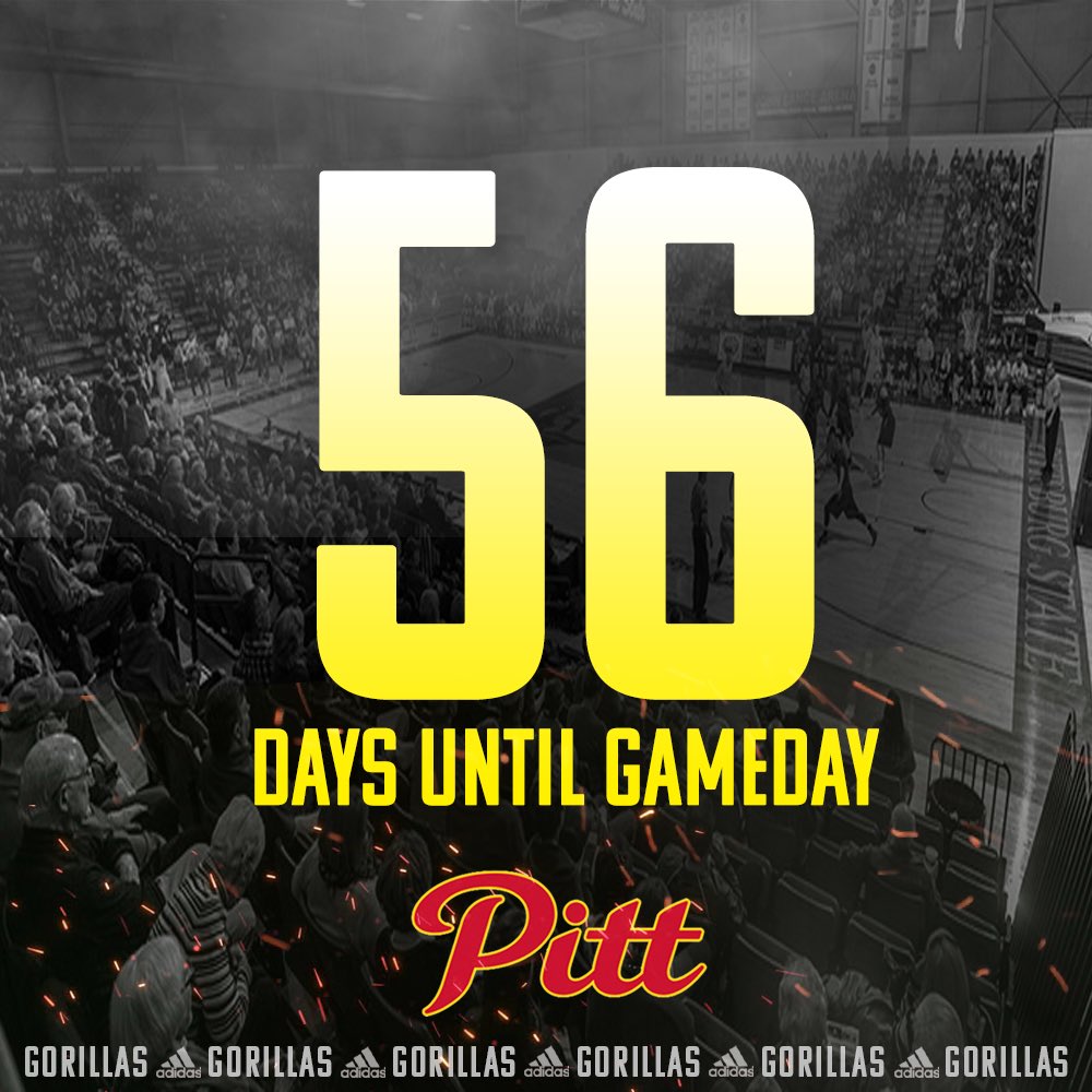 GorillasMBB's tweet photo. Less than two months away until the squad is back on the court!👀🦍 https://t.co/dhKKNtCNMS