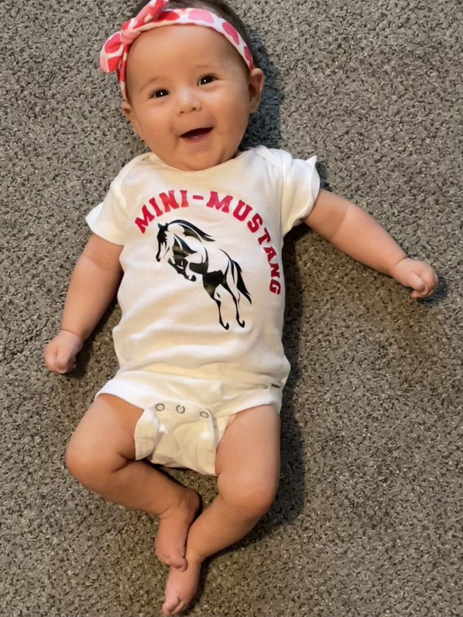 MaryOwensMath's tweet photo. Happy Friday from Stella @mineolahs! Hope everyone had a great first week. Big shoutout to the Math/Sci Dept & @MineolaMakers for this awesome onesie! β€οΈ#MineolaProud #MiniMustang #nomoretummytime https://t.co/o8RsE8sBT6