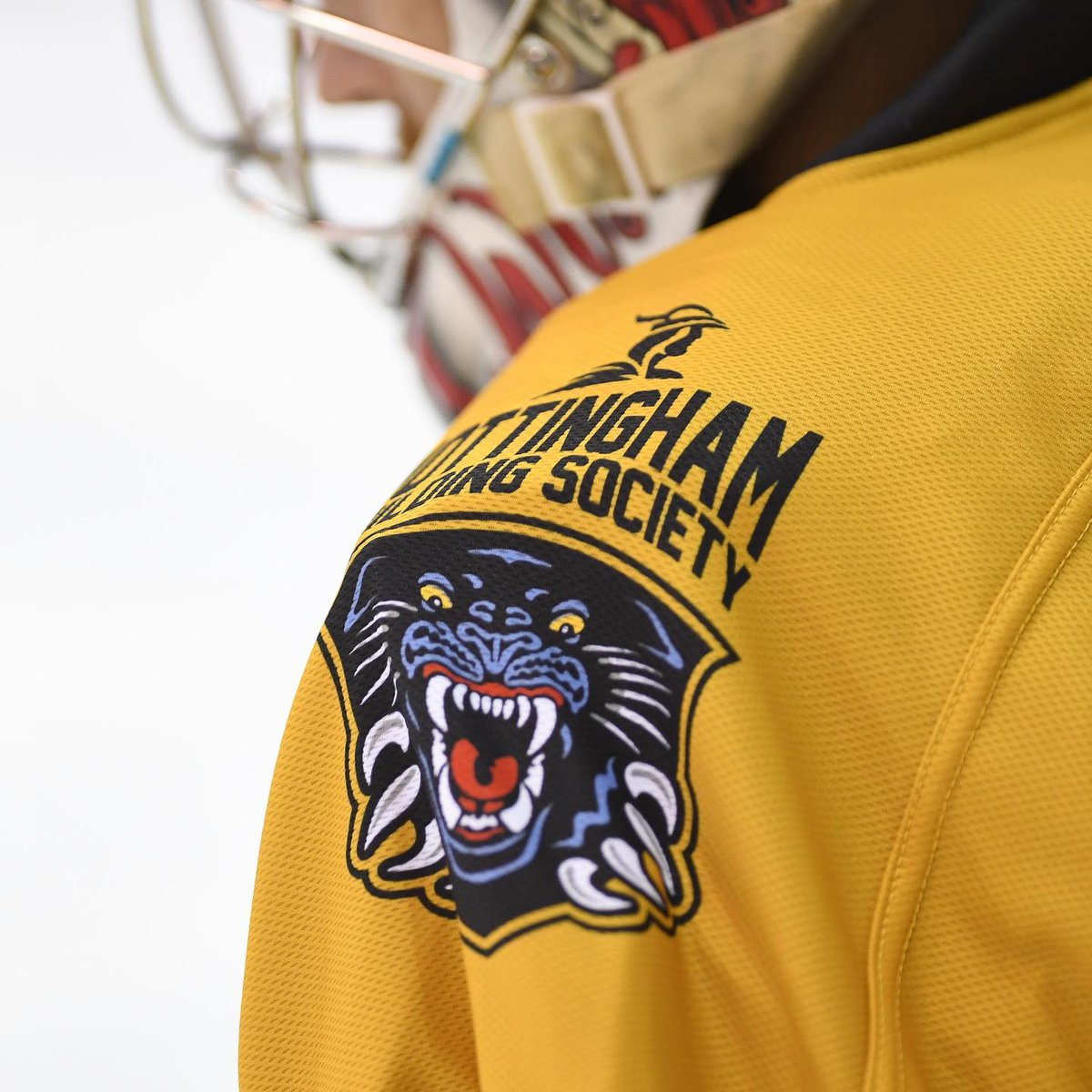 NottsSART's tweet photo. @PanthersIHC have kindly chosen us to be their charity of the month. We will be at the home matches @nottinghamarena so look out for us! (But hopefully not on the ice 😁) https://t.co/5gCY3V9vGE