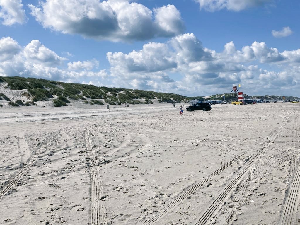 At Aalborg University,Department of Planning, Group of Geodesy, we will announce a 2.5 year postdoctoral position in Earth Observation Data Assimilation soon. The start date is January or February 2023. Please spread the word...#Hydrology #water #data #Geodesy #earthObservation