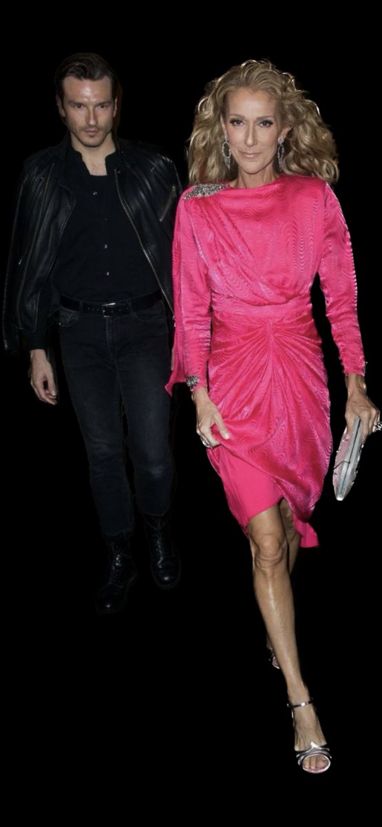 BFABRICEE's tweet photo. C’est l’anniversaire de @Pink mais @celinedion n’a jamais posé avec elle. Alors on trouve une alternative 💕. Happy birthday @Pink #iamrecovering #recovering https://t.co/j9DK8cNCYN https://t.co/Mpl6tUlqQd