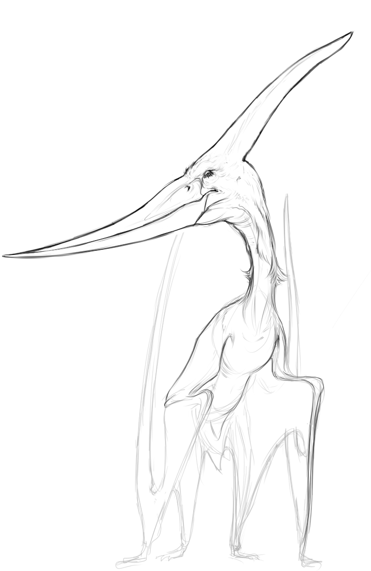 Hervio9's tweet photo. My sketcheses.
#sketch  #dinosaur #pteranodon #headshot https://t.co/FUE67SexKj