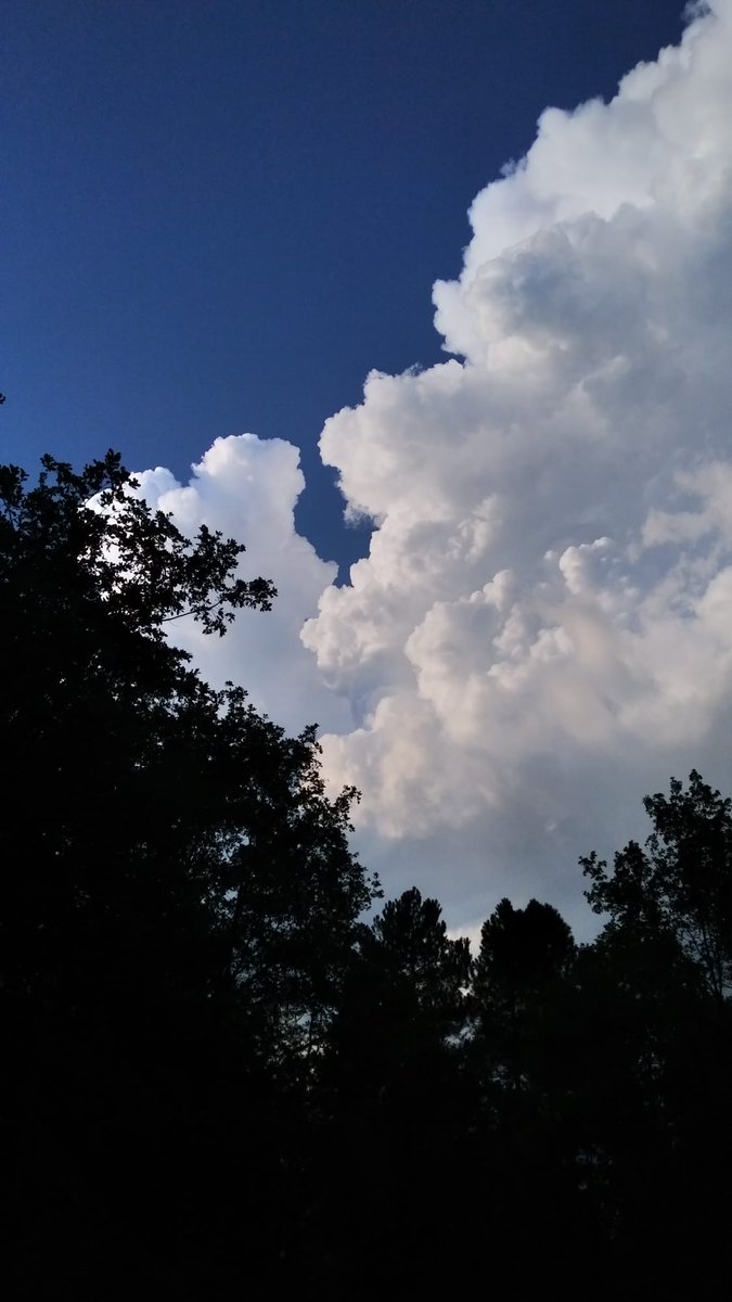 ebmcobi's tweet image. Benvigudes al nou curs!!!!