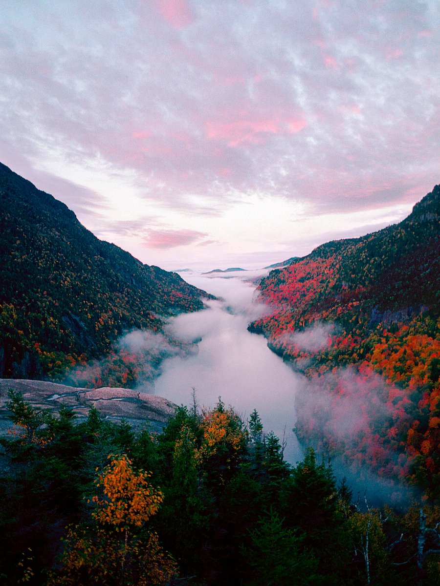 fall foliage on 35mm 🍁