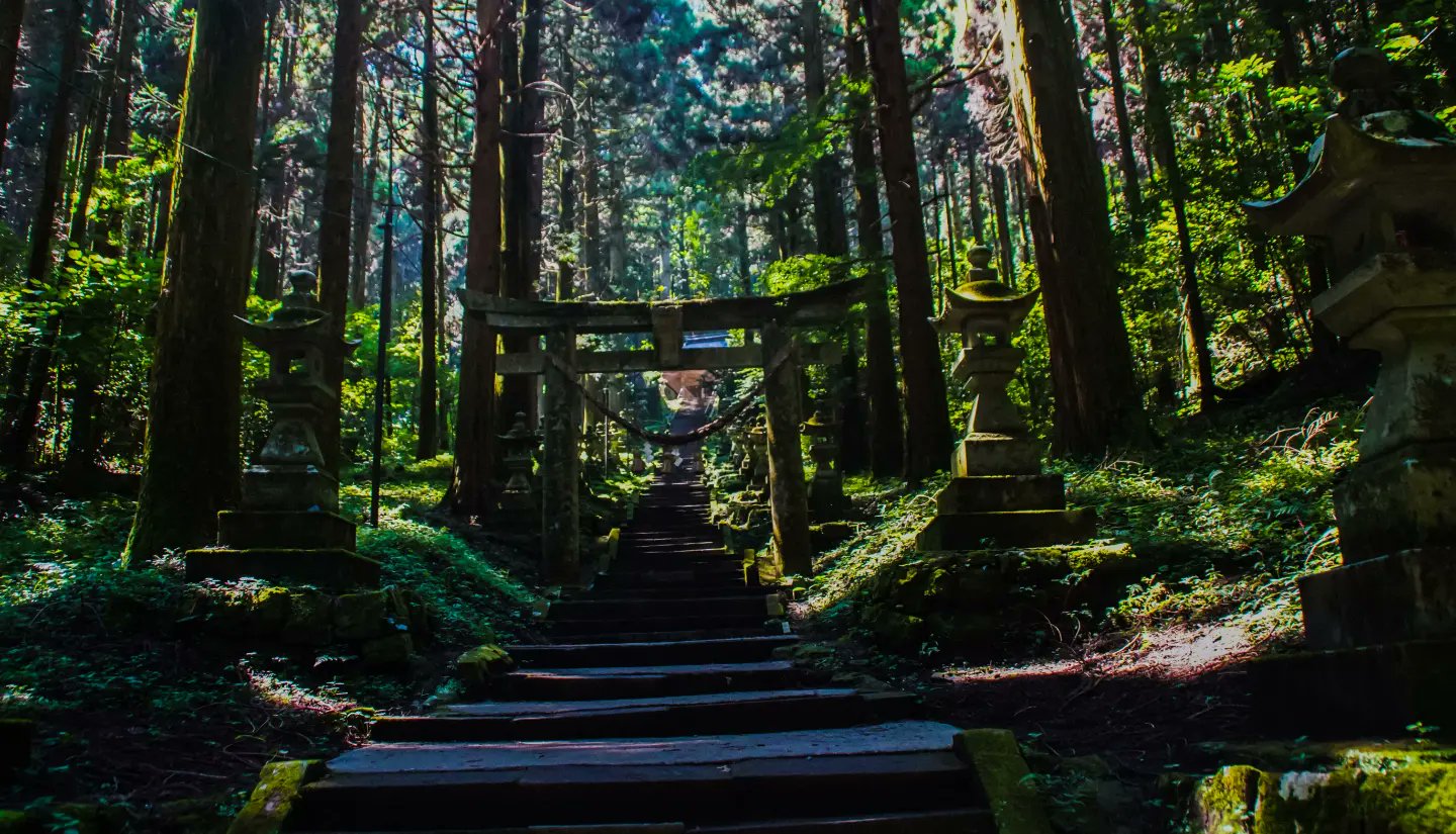 Loverstar 初めて行った場所 とても神秘的でした 熊本 阿蘇 南阿蘇 高森 神社 神秘的 緑 自然 空気 綺麗 癒し 景色 カメラ おひとり様 プライベート T Co Ycop1e8jns Twitter
