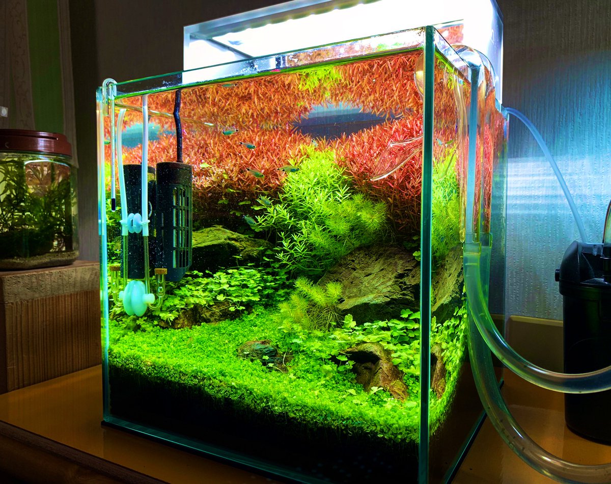 マ*オ様 オークション☆大型水槽 i-img1198x898-