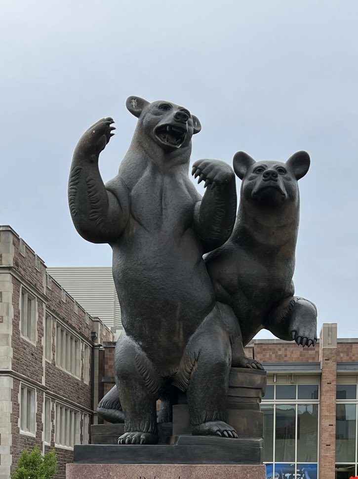 Levi Gingerich tweet media