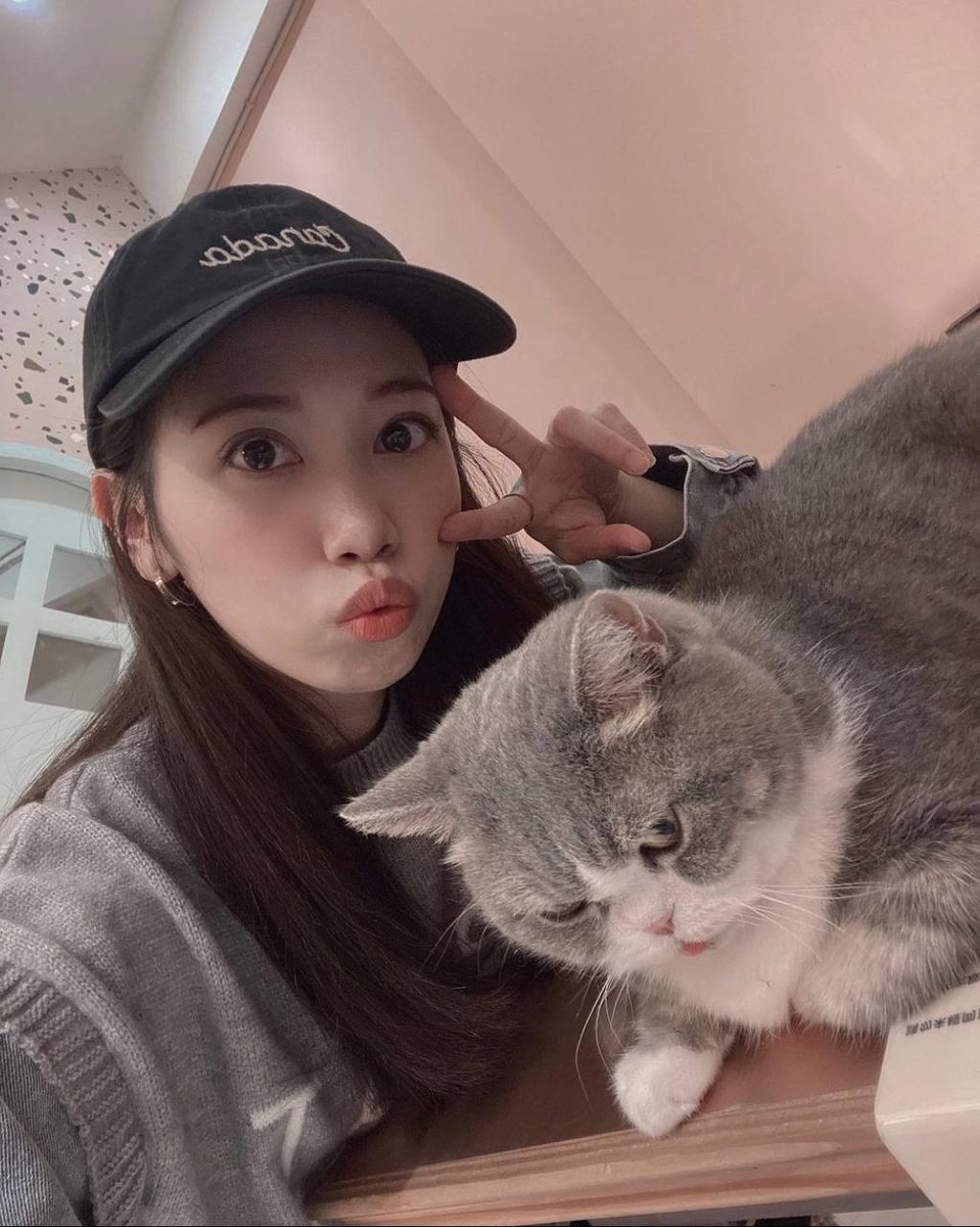 ananbuyaomiwoa1's tweet photo. 最優閒的時光就是有一隻猫坐在身上
那有人願意讓我坐在身上？

留言告訴我😈😈😈 https://t.co/HOCBwhd3Xe