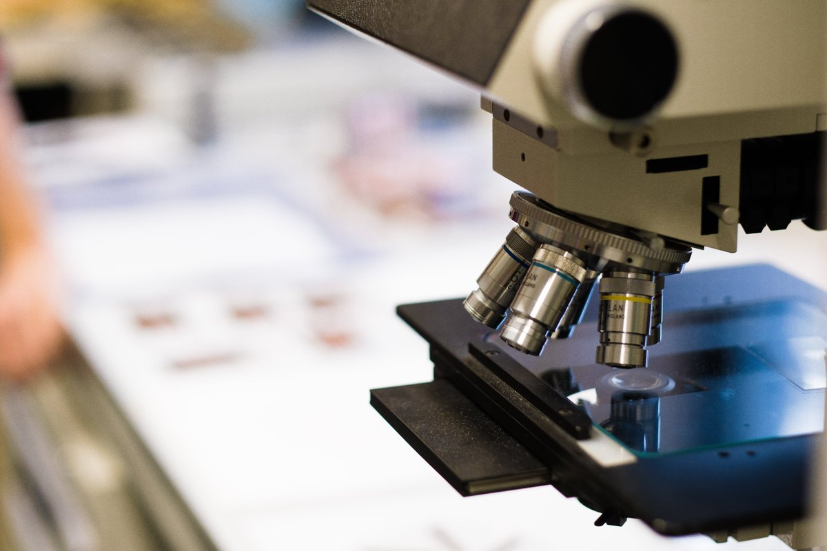We're building a better future for innovation 🔬

ARC is Europe’s leading network of #science and #innovation clusters. Our passion is supporting science and innovation businesses to thrive.

Head to arcgroup.io to learn more. 

#startup #LifeSciences #sciencelabs