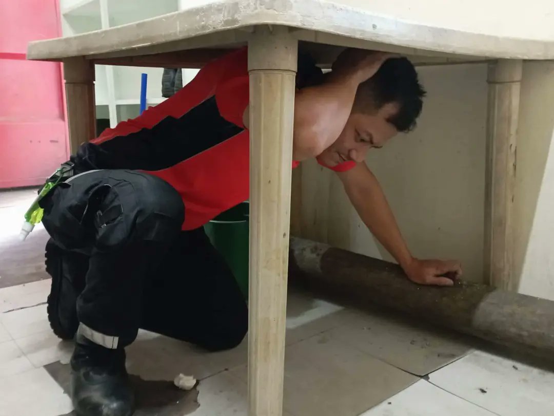 bsapasig's tweet photo. TODAY'S HIGHLIGHT: Participation of @bsapasig during the Nationwide Simultaneous Earthquake Drill (NSED). β
Pag may lindol, DUCK, COVER, HOLD. ππ»ββοΈππ»ββοΈ Nakiisa ba kayo sa drill, mga kabarangay? ππ» Share your photos dahil #BidaAngHandaBSA! πΈ
#NSED2022 #BidaAngHanda #ResiliencePH https://t.co/AEDoXmzpbP
