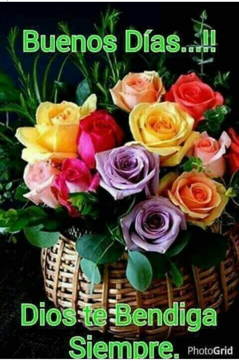 Un nuevo amanecer.  Que tengan un excelente día 😊🌹🌷🌹🌱🍃🍀🍀👌