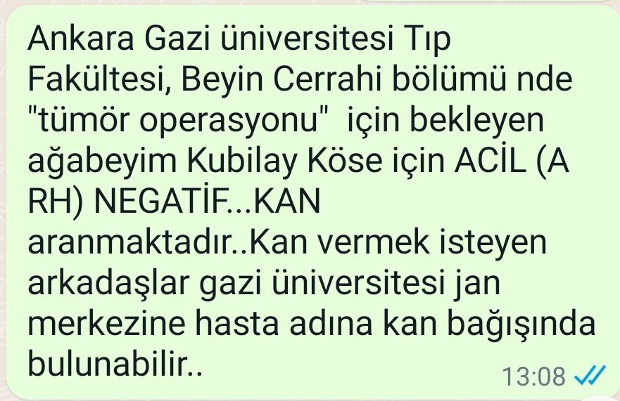 Olgunay Kose (@lazrobin) on Twitter photo 