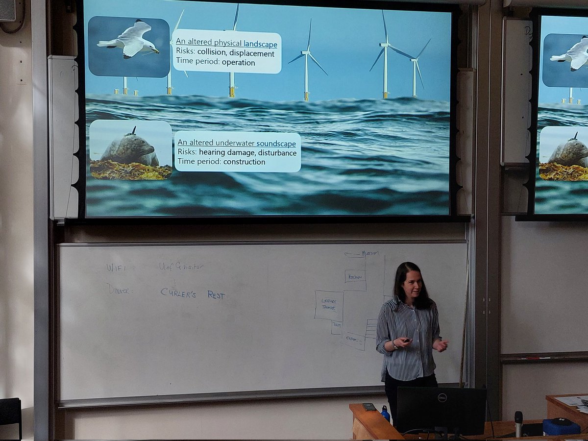 BES Movement Ecology (@bes_move_sig) on Twitter photo Altered physical landscapes and underwater soundscapes - we're back from coffee and <a href="/katey_whyte/">Dr Katherine Whyte</a> is taking us through impacts of offshore wind farm development on marine life #BESMove2022 Altered physical landscapes and underwater soundscapes - we're back from coffee and <a href="/katey_whyte/">Dr Katherine Whyte</a> is taking us through impacts of offshore wind farm development on marine life #BESMove2022