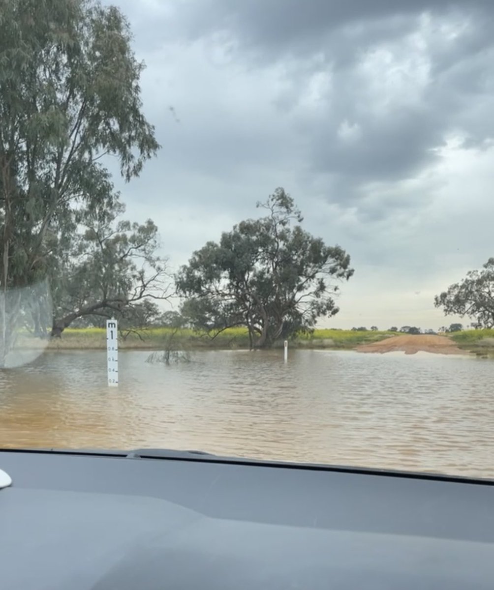 Henry Hickson (@henryhickson99) on Twitter photo Had the chance yesterday to catch up with <a href="/outbackmpm/">Richie Steele - Outback MPM</a>. It was awesome to eventually get out to the far west (despite some flood water) and sneak a look at this years sale team which is looking very solid <a href="/neXtgenAgri/">neXtgen Agri Ltd</a> Had the chance yesterday to catch up with <a href="/outbackmpm/">Richie Steele - Outback MPM</a>. It was awesome to eventually get out to the far west (despite some flood water) and sneak a look at this years sale team which is looking very solid <a href="/neXtgenAgri/">neXtgen Agri Ltd</a>