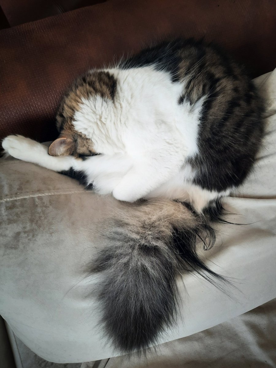 Rahatsız etmeyin açık