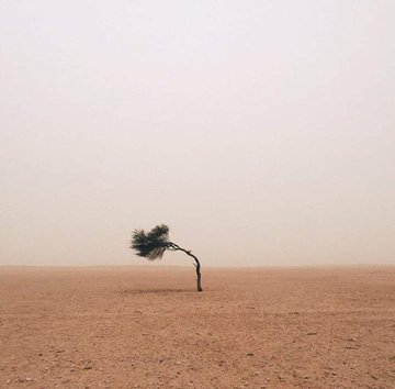 Fazla fedakarlık fazla vefasızlık getirir…