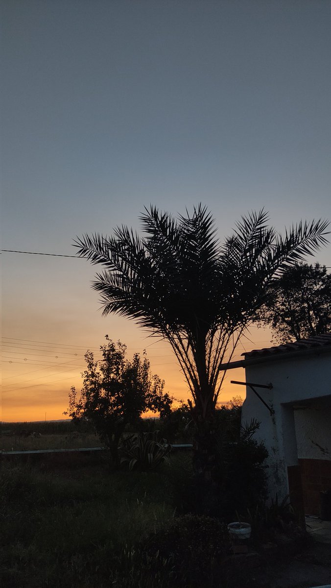acordefa's tweet photo. La tierra más bonita
Feliz día de Extremadura 💚🤍🖤 https://t.co/ul8usCT4aX
