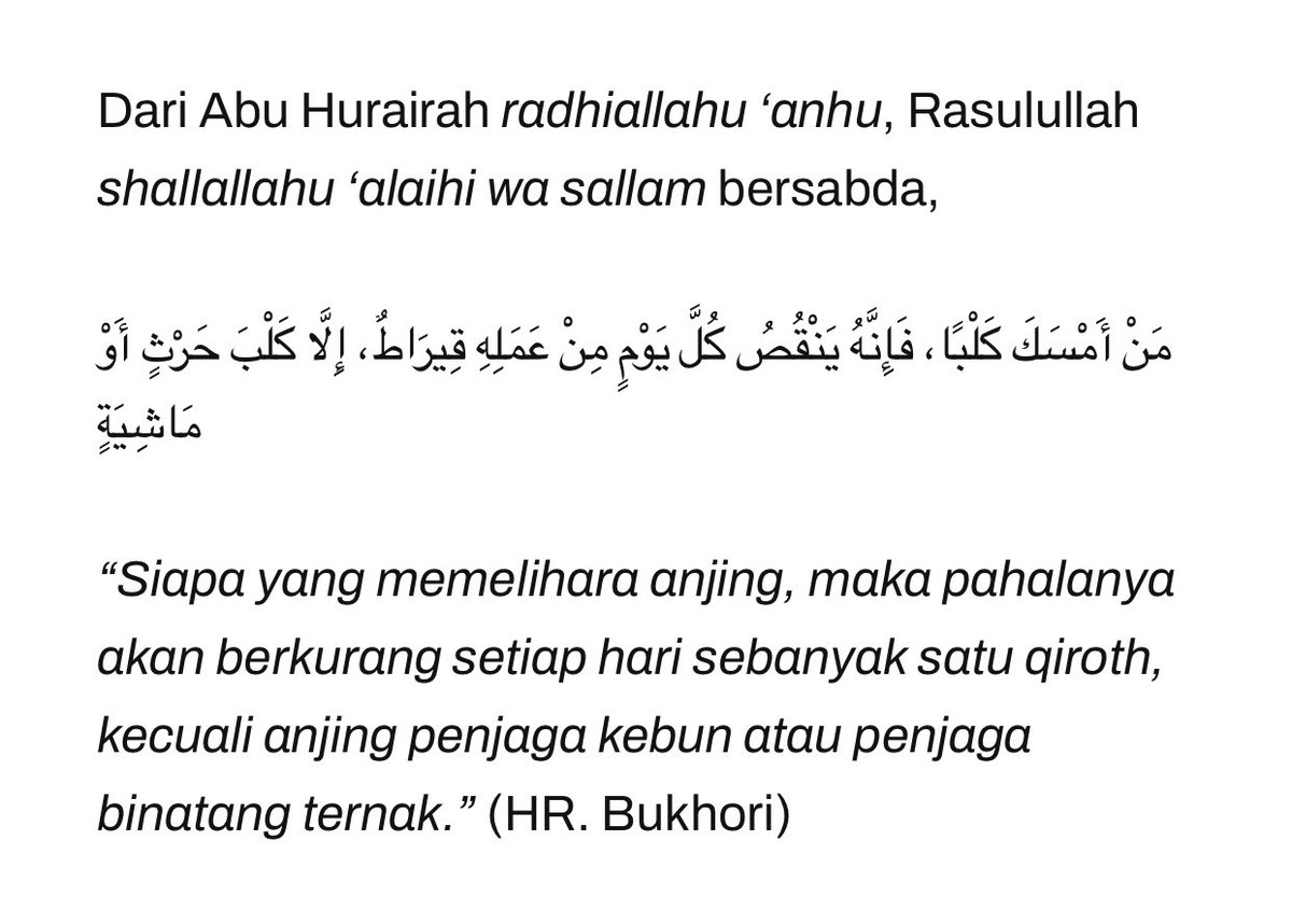 aeyujimin's tweet photo. @rellhrell @BonBonaee @lullaboyy @diaryyary @convomfs Mjb menambahkan. Justru pahalanya hilang satu qirath per harinya https://t.co/wwPtWqQXal