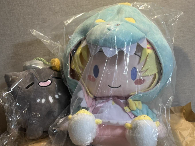 でっ、、、かわいい!サイズ比SSRBもw#わたぬいぐるみ来たよ 