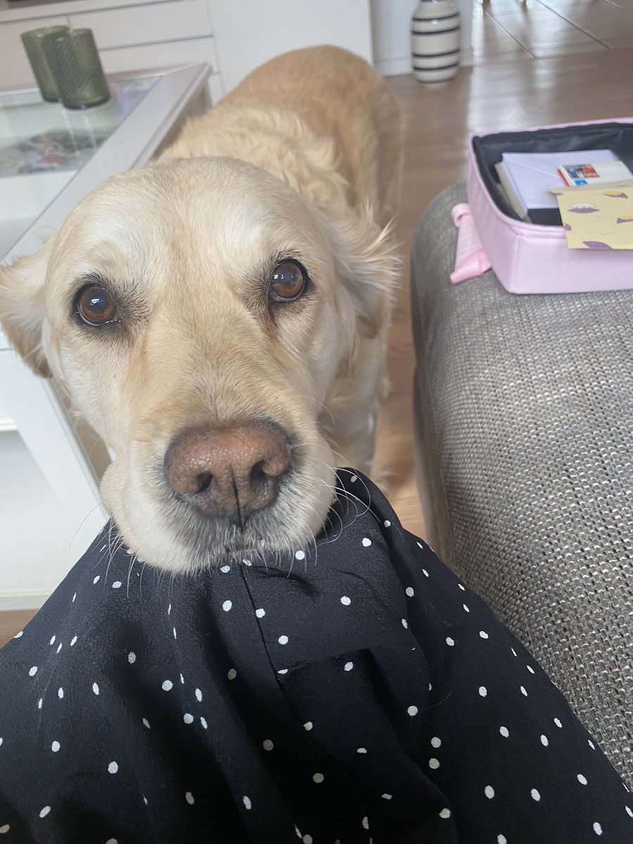 Maria_Jensn's tweet photo. Some company while writing letters 🥰 💌 #penpalooza https://t.co/XTlglQyD0c