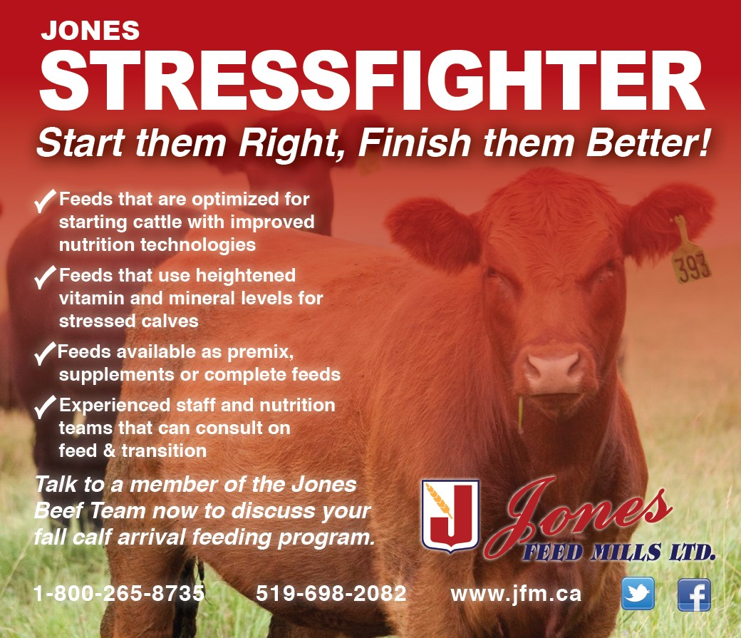 Jones_Feed's tweet photo. As cattle start to come into feedlots make sure you give them the best start possible! To help make their transition smoother use Stressfighter Feedlot Starter. For details on Stressfighter and support on how to best start your cattle contact our experienced #JFMBeef Team. https://t.co/l0F0kCXm7U