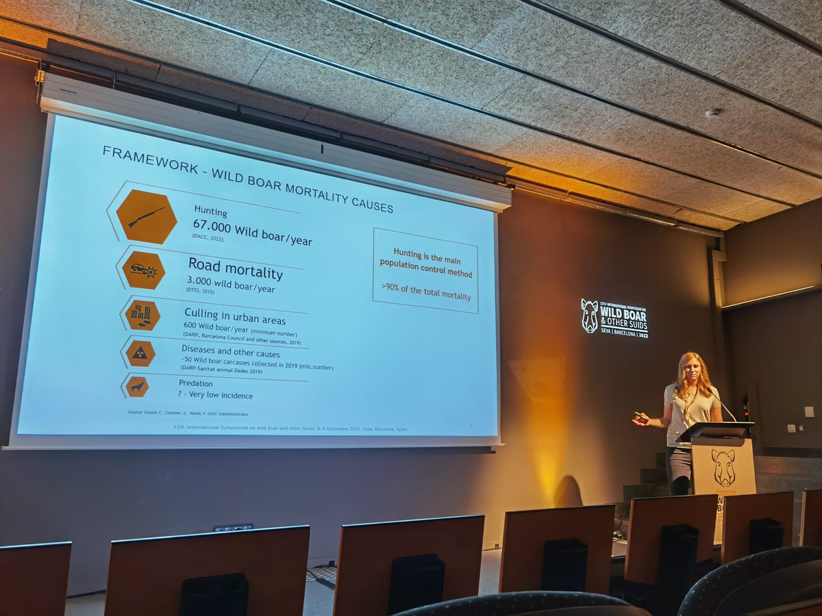 Especialistes del Parc Natural del <a href="/montseny/">Parc Natural i Reserva de la Biosfera del Montseny</a> i <a href="/minuartia_tw/">minuartia</a> han presentat avui conjuntament al 13è Simposi Internacional sobre el porc senglar <a href="/WildBoar2022/">International Symposium on Wild Boar & other Suids</a> els canvis en la caça del senglar al Montseny els darrers 20 anys i la implicació per a la gestió
#WildBoarSymposium2022