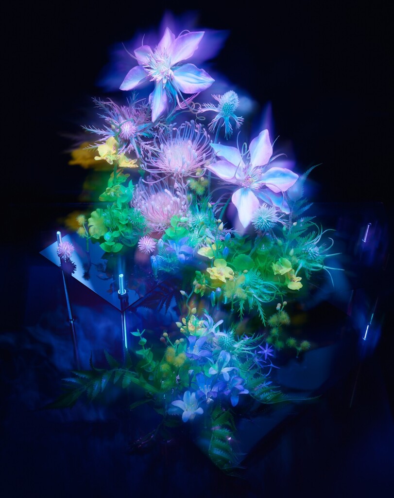 Thomas Brown tweet media