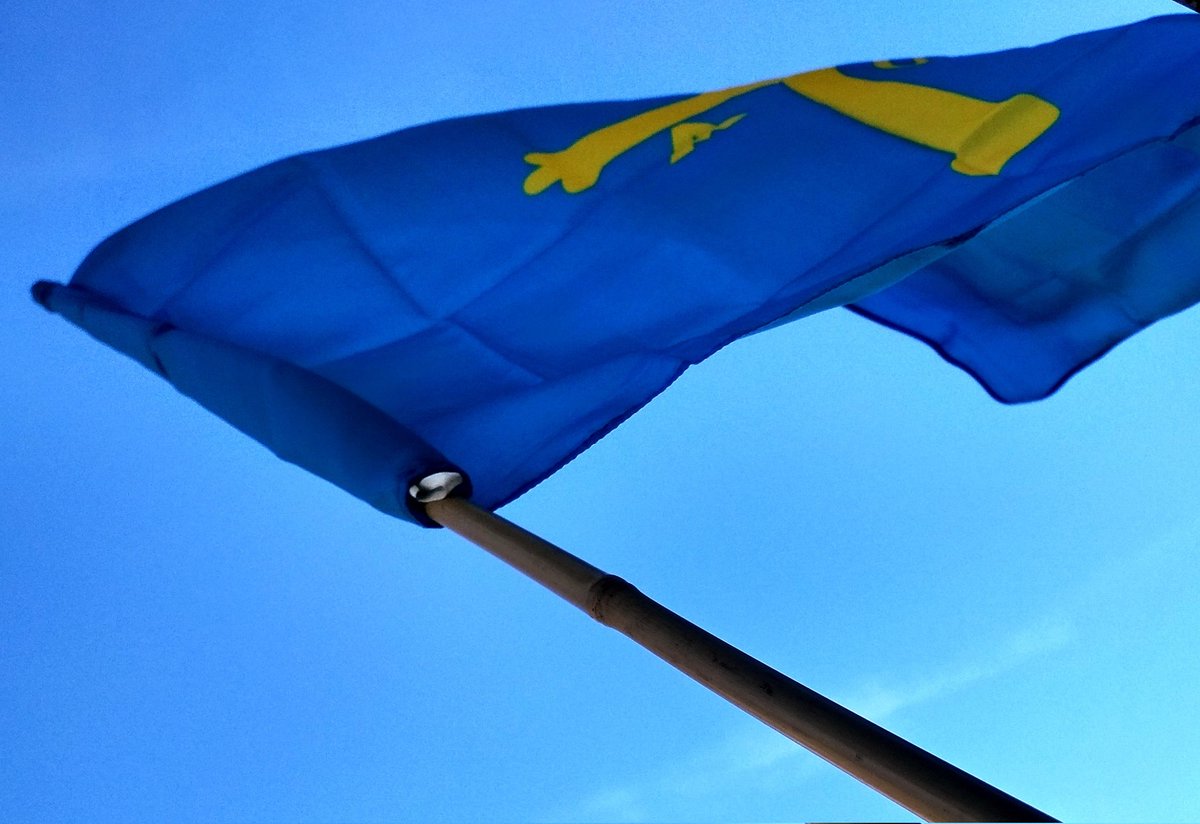halonso's tweet photo. No es un día cualquiera, es nuestro día. FELIZ DIA DE ASTURIAS!!👏👏👏 https://t.co/kzyRz54aXk