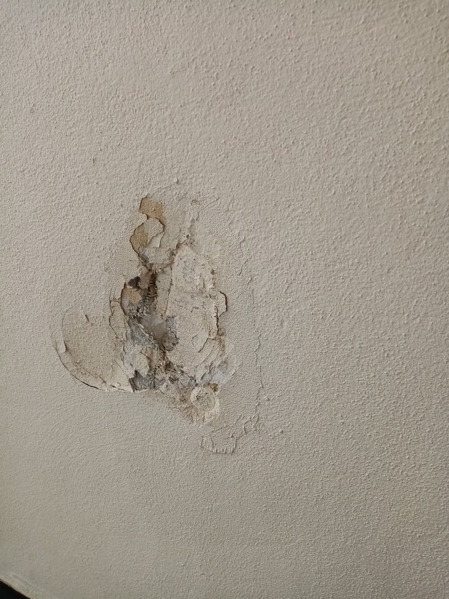 RealRawRhymes's tweet photo. 14 days ago you told me this had been reported. Since then, I've paid for 2 weeks (and the rest) of service charges for cleaning and maintenance that very clearly hasn't been carried out. @IncommunitiesHA https://t.co/jdfvhuQr9u