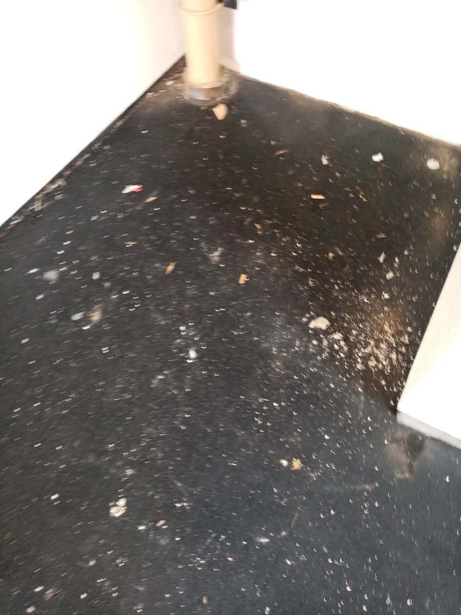 RealRawRhymes's tweet photo. 14 days ago you told me this had been reported. Since then, I've paid for 2 weeks (and the rest) of service charges for cleaning and maintenance that very clearly hasn't been carried out. @IncommunitiesHA https://t.co/jdfvhuQr9u