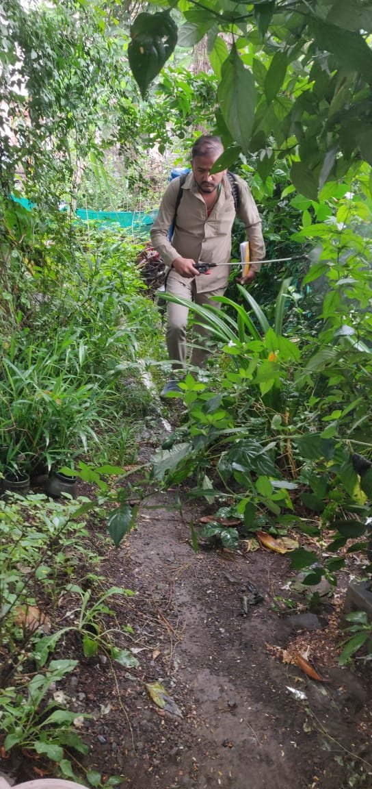 anilroy2000's tweet photo. PCMC Team Health 
Spraying all areas that could breed mosquitoes .
Helping stop spread the dengue menace.
Good work.
@pcmcindiagovin @PCMC_Smartcity https://t.co/IloDF5lN5K