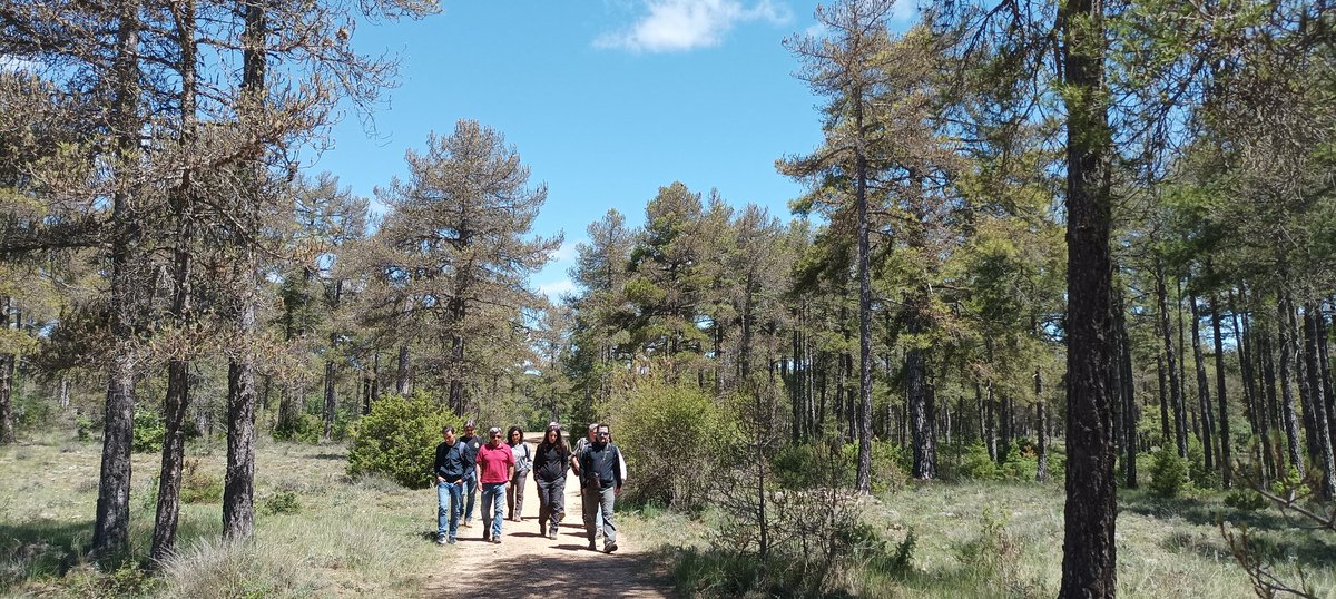 MELucasBorja's tweet photo. Excellent collaboration with Urmia University (Iran), Mediterranean University of Reggio Calabria(Italy), USDA Forest Service @forestservice, Universidad de Almería and @uclm_es (Spain).
#ECOFOR research group https://t.co/p84UIl5h94